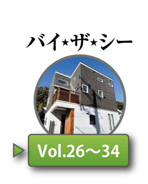 バイザシーNo26〜No34
