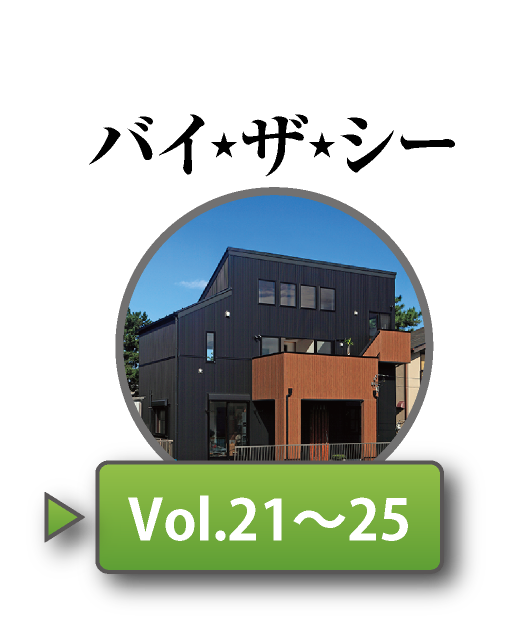 バイザシーNo21〜No25